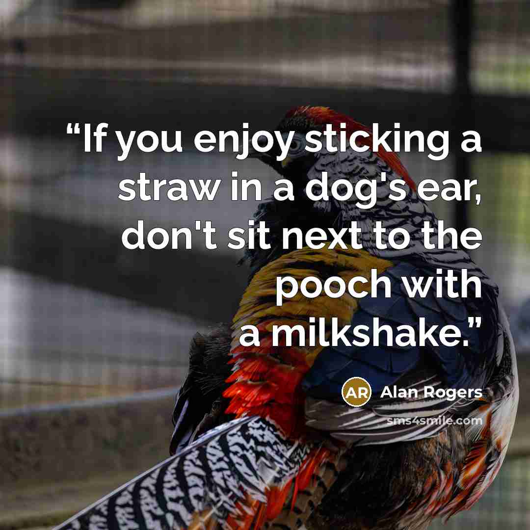 “If you enjoy sticking a straw in a dog's ear, don't sit next to the pooch with a milkshake.” quote by Alan Rogers