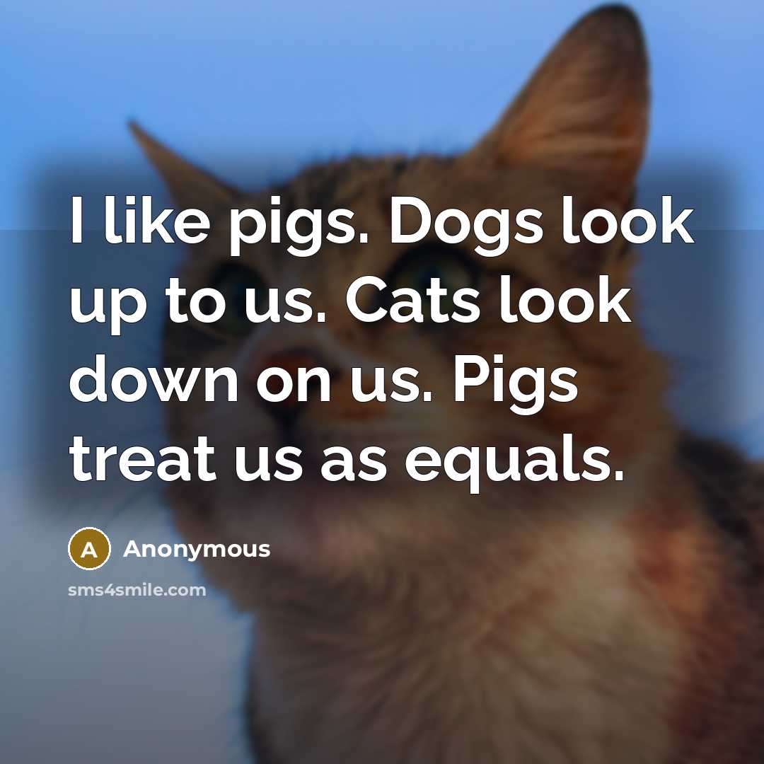 “I like pigs. Dogs look up to us. Cats look…” quote by Anonymous