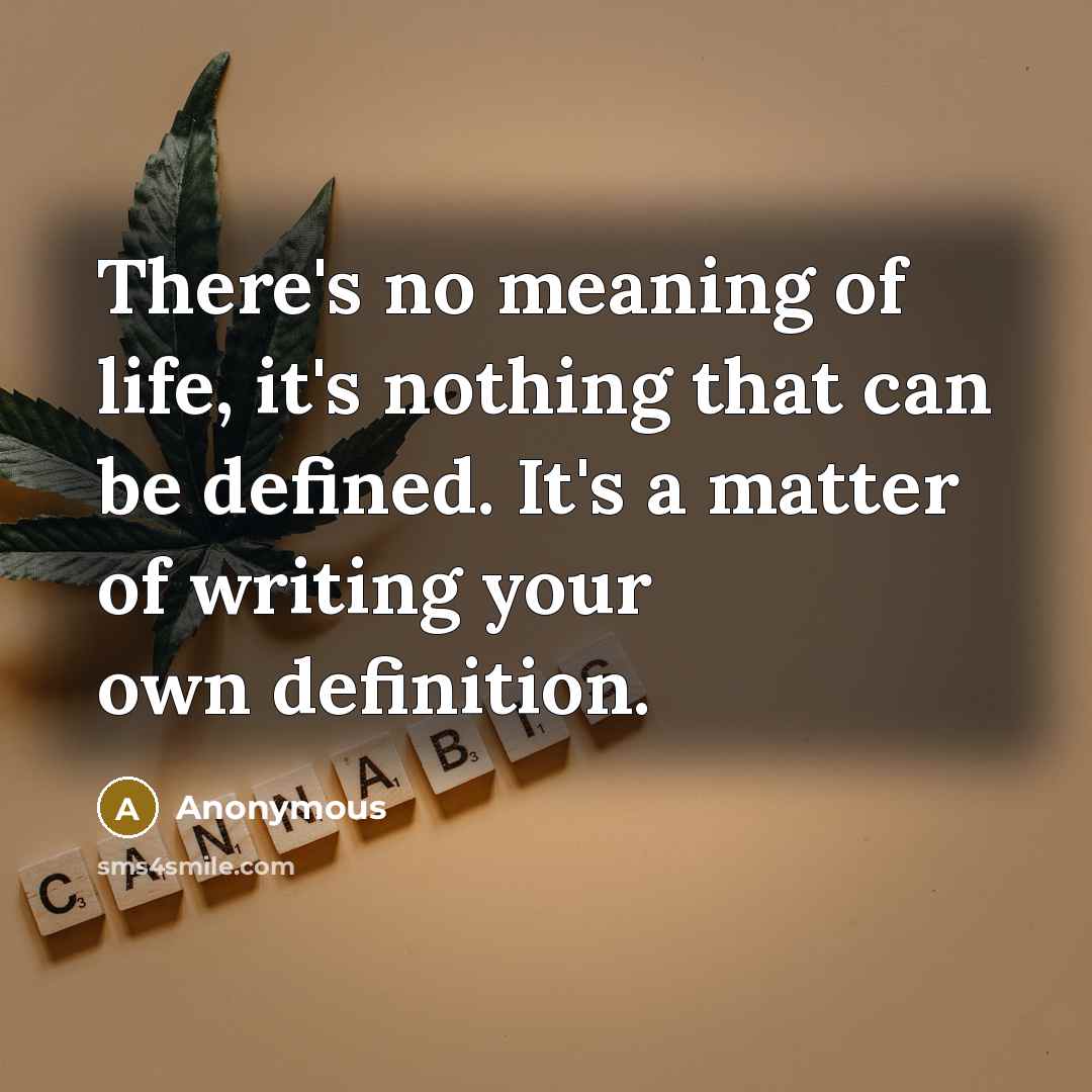 “There's no meaning of life, it's nothing that can be…” quote by Anonymous