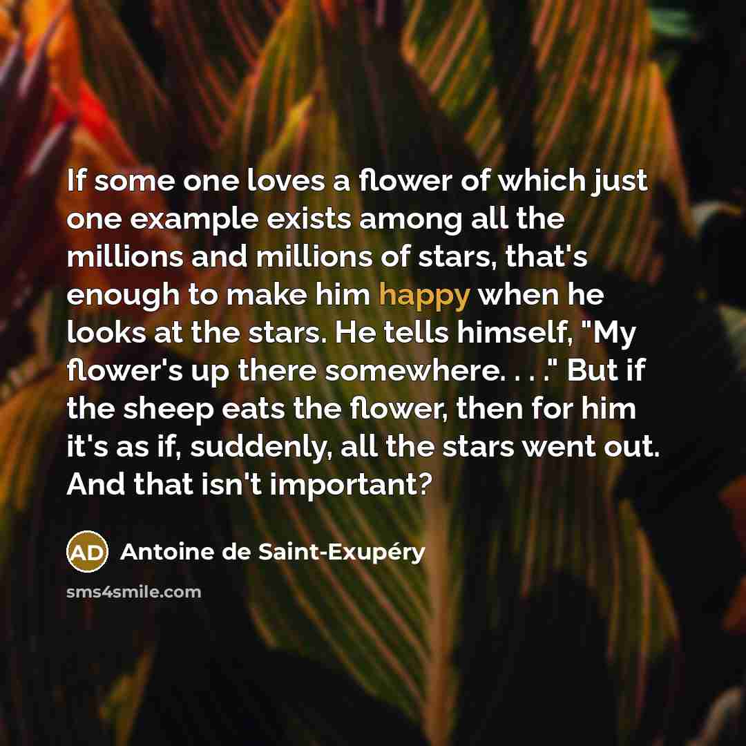 “If some one loves a flower of which just one…” quote by Antoine de Saint-Exupery
