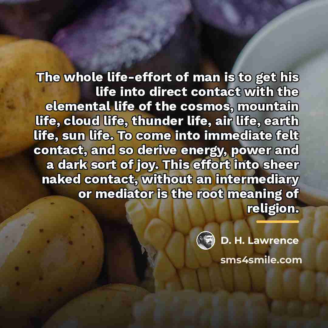 “The whole life-effort of man is to get his life…” quote by D. H. Lawrence