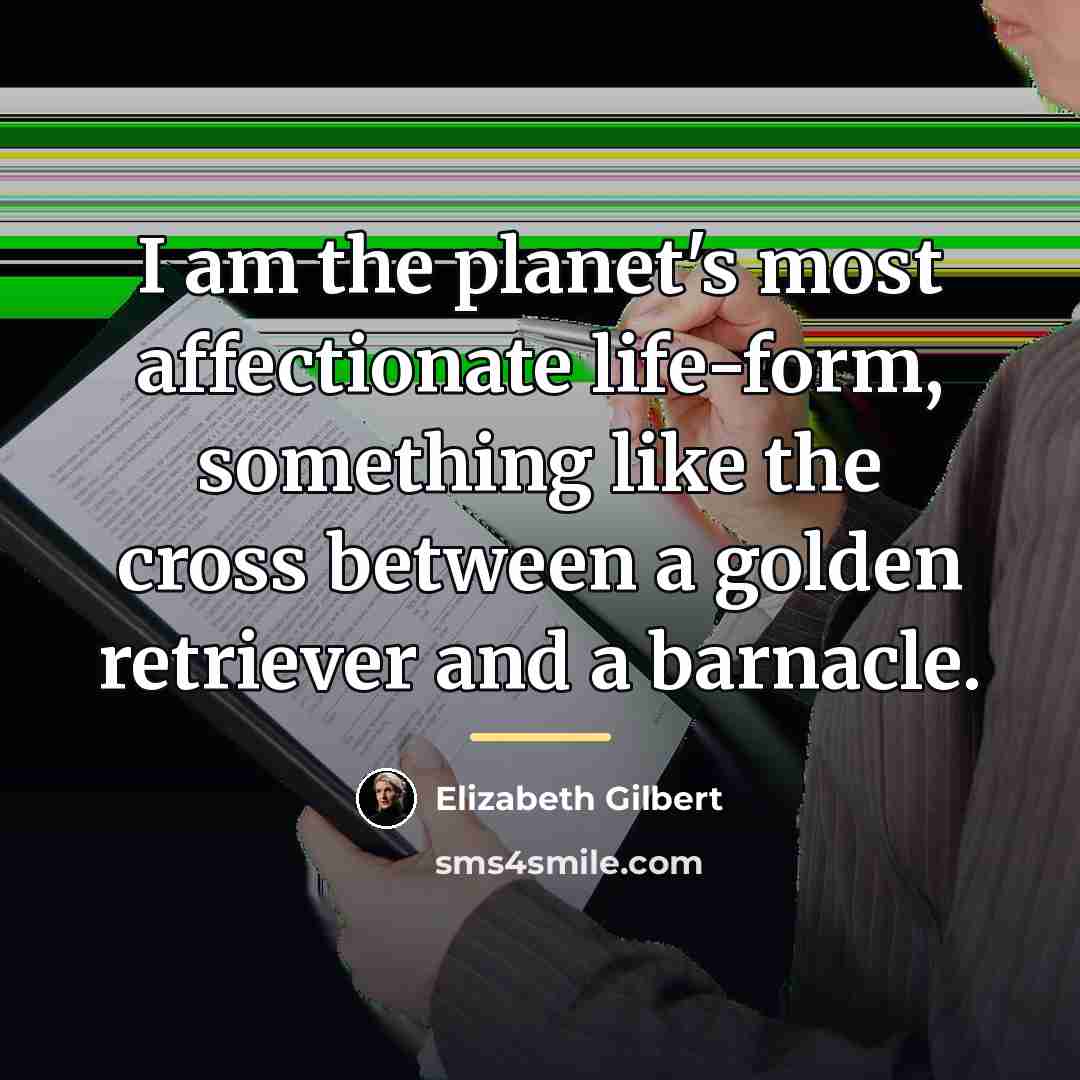 “I am the planet's most affectionate life-form, something like the…” quote by Elizabeth Gilbert