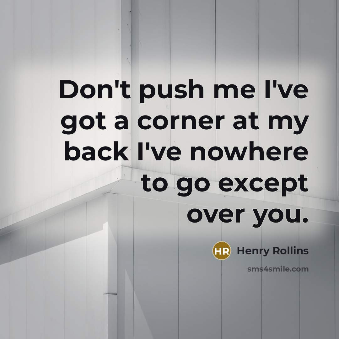 “Don't push me I've got a corner at my back…” quote by Henry Rollins