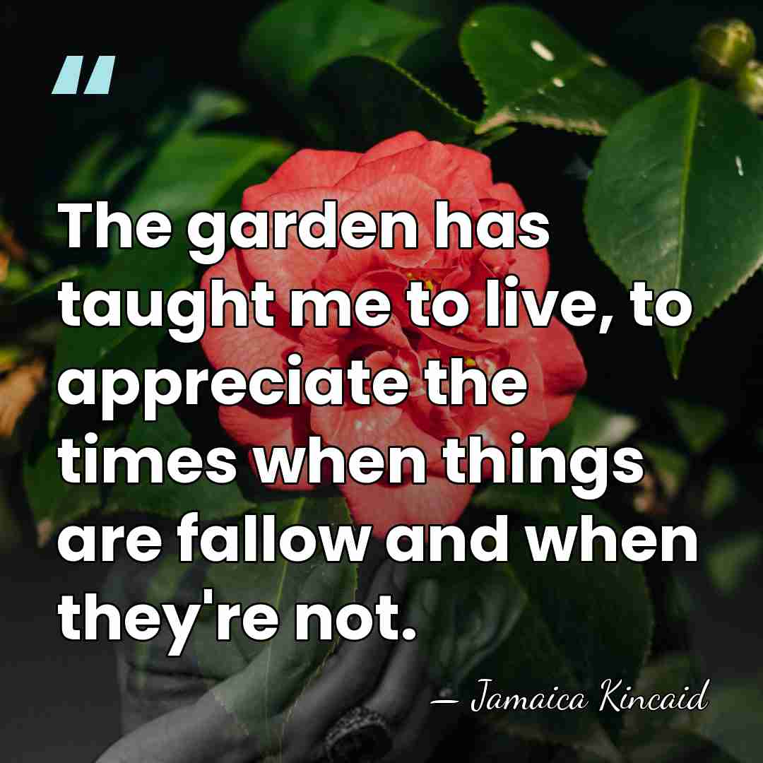 The garden has taught me to live, to appreciate the times when&hellip; - Jamaica Kincaid
