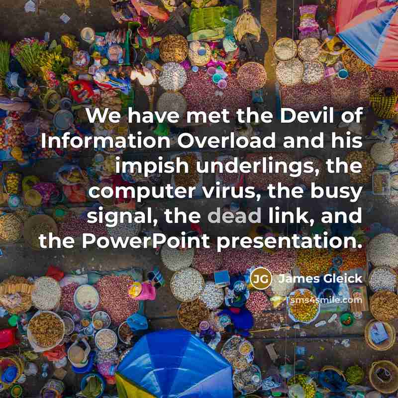 “We have met the Devil of Information Overload and his…” quote by James Gleick