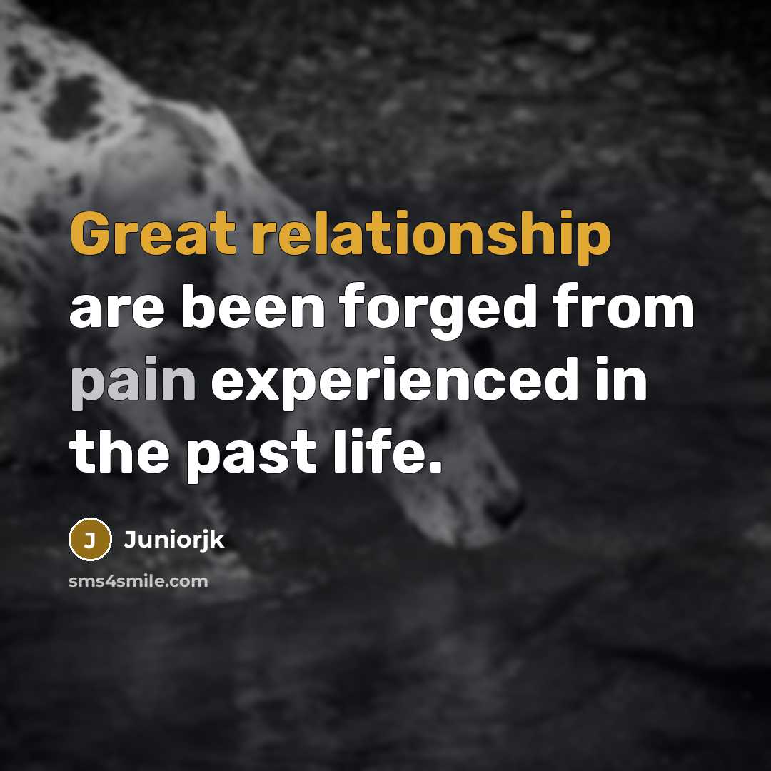 “Great relationship are been forged from pain experienced in the past life.” quote by Juniorjk