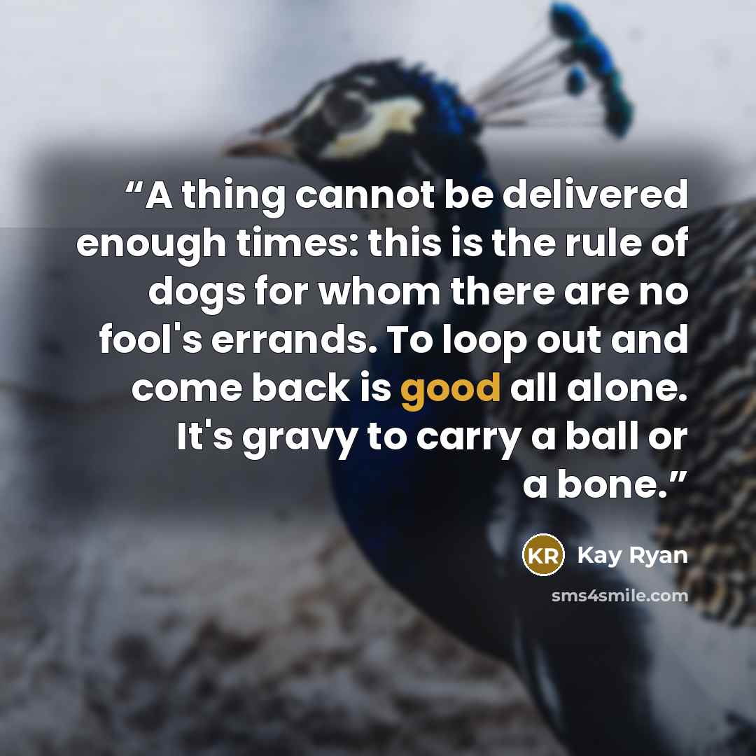 “A thing cannot be delivered enough times: this is the rule of dogs for whom there are no fool's errands. To loop out and come back is good all alone. It's gravy to carry a ball or a bone.” quote by Kay Ryan