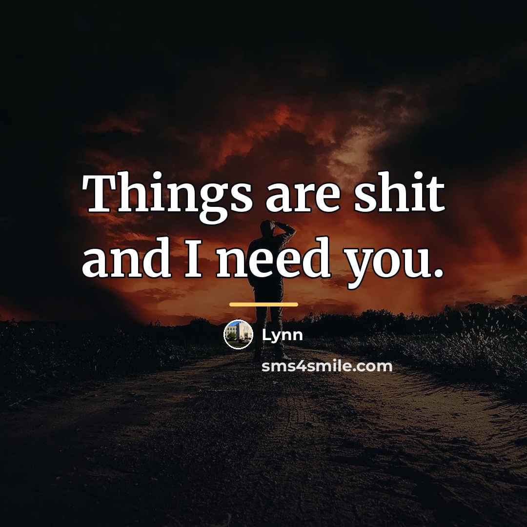 “Things are shit and I need you.…” quote by Lynn