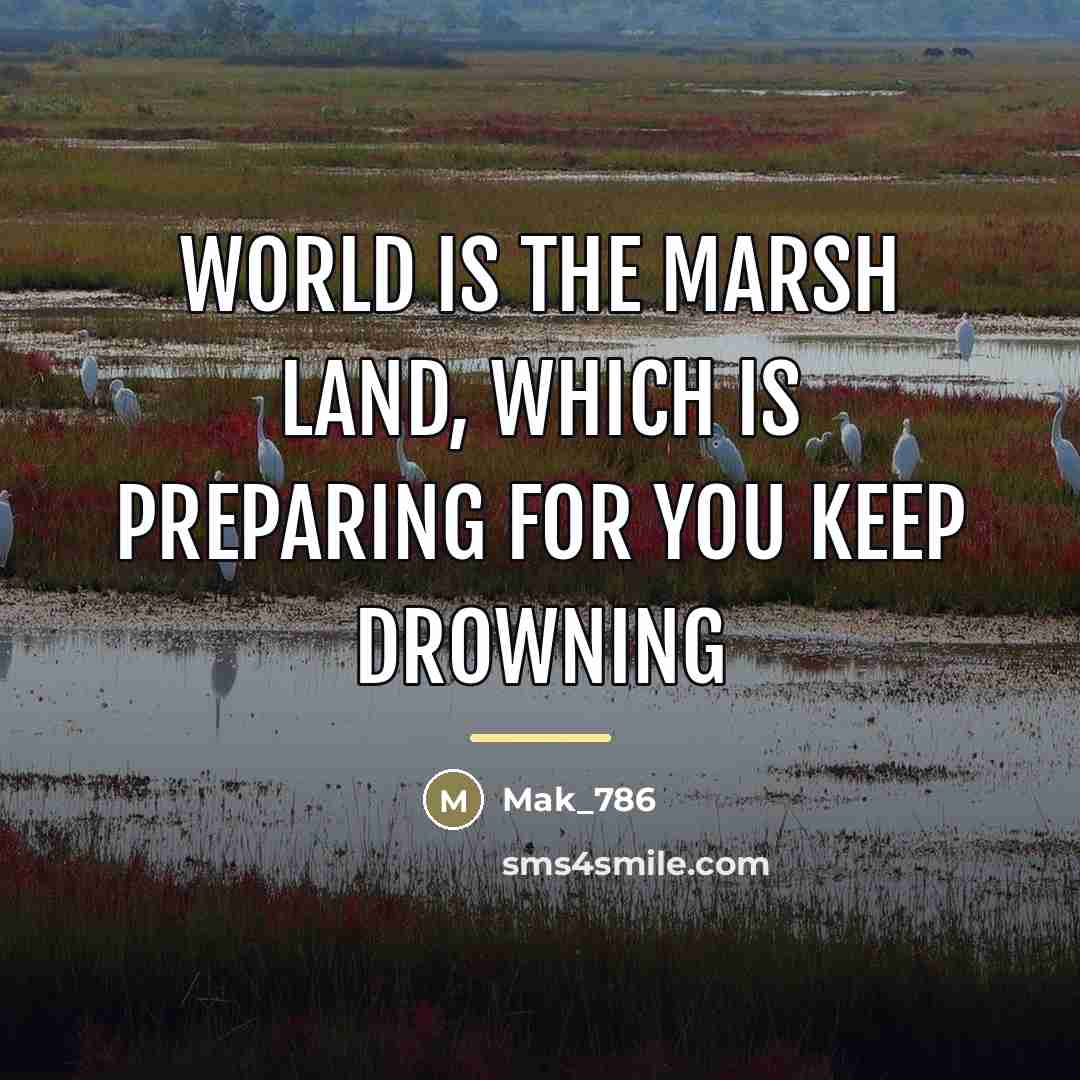 “World is the marsh land, which is preparing for you…” quote by Mak_786