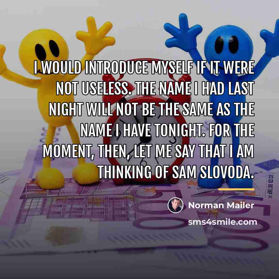 “I would introduce myself if it were not useless. The…” quote by Norman Mailer