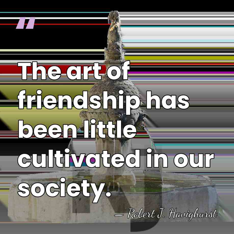 The art of friendship has been little cultivated in our society. - Robert J. Havighurst