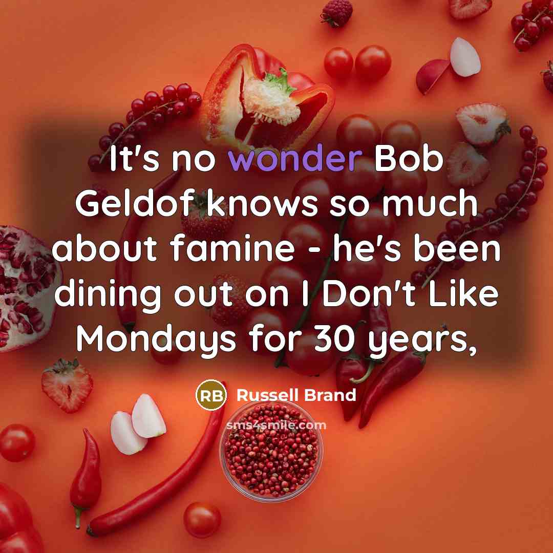 “It's no wonder Bob Geldof knows so much about famine…” quote by Russell Brand