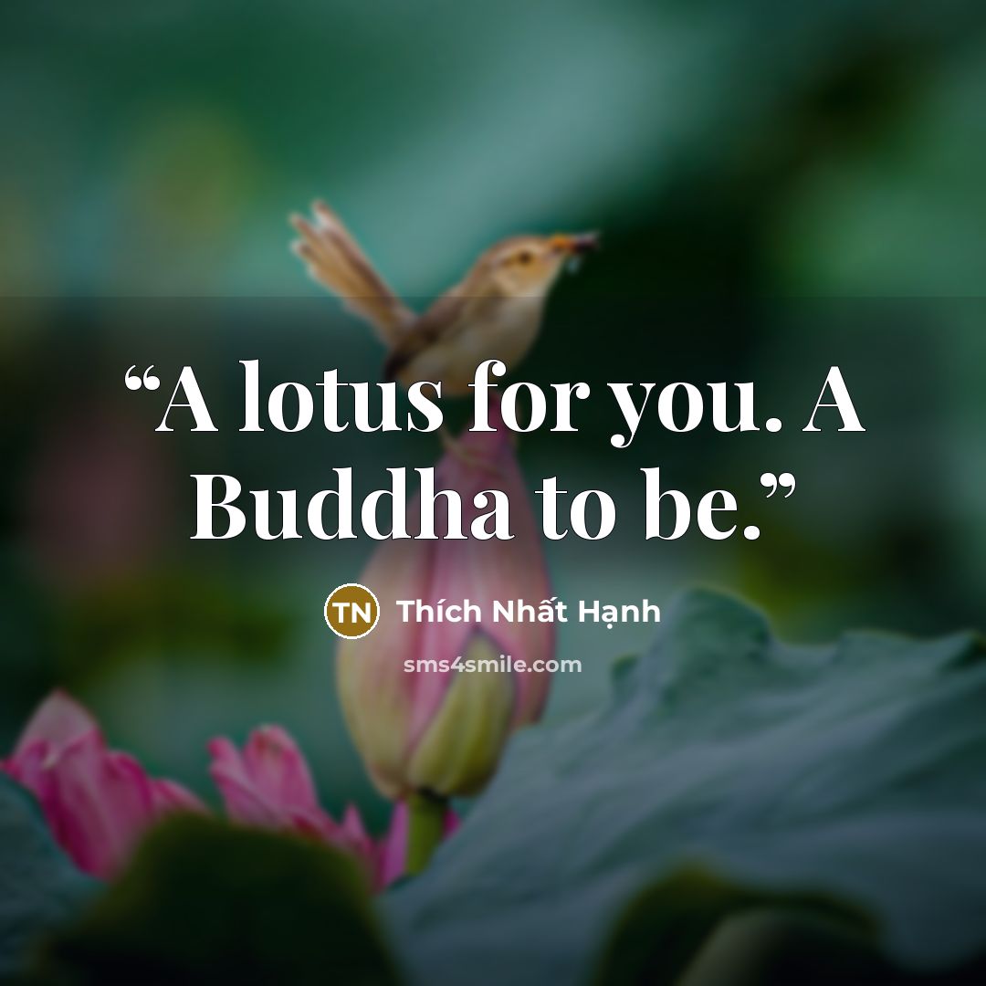 “A lotus for you. A Buddha to be.” quote by Thích Nhất Hạnh