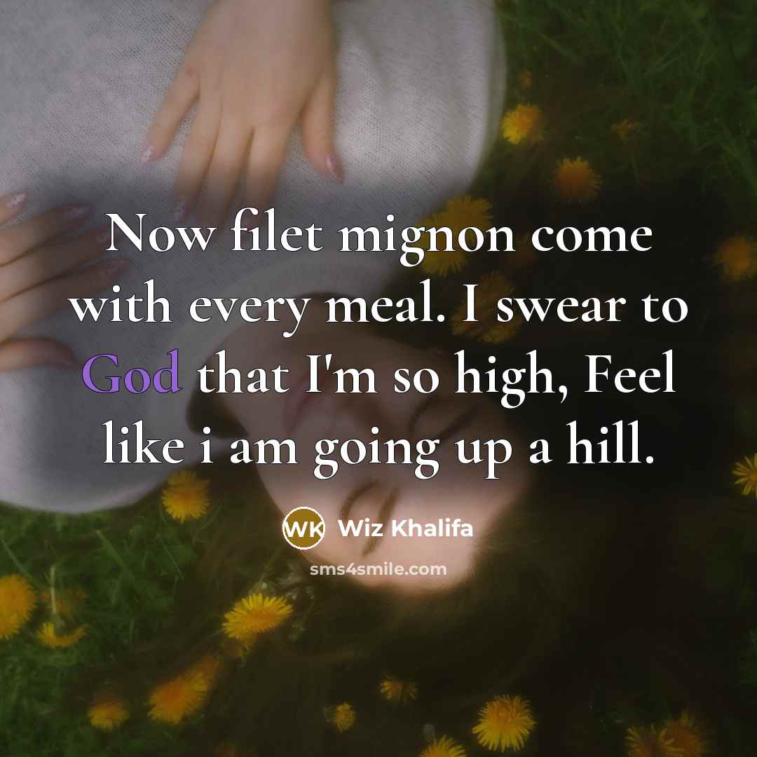 “Now filet mignon come with every meal. I swear to…” quote by Wiz Khalifa