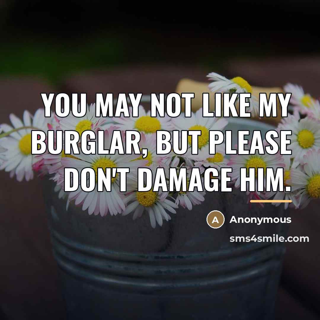 “You may not like my burglar, but please don't damage…” quote by Anonymous