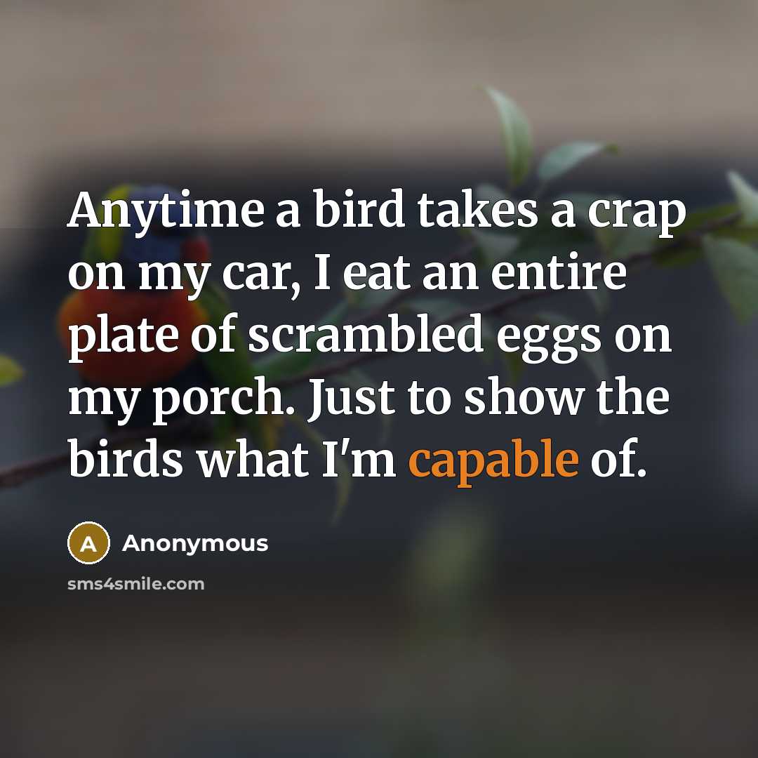 “Anytime a bird takes a crap on my car, I…” quote by Anonymous
