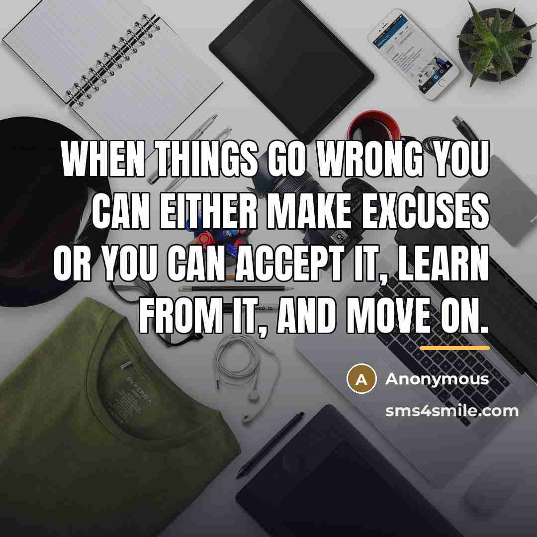 “When things go wrong you can either make excuses or…” quote by Anonymous