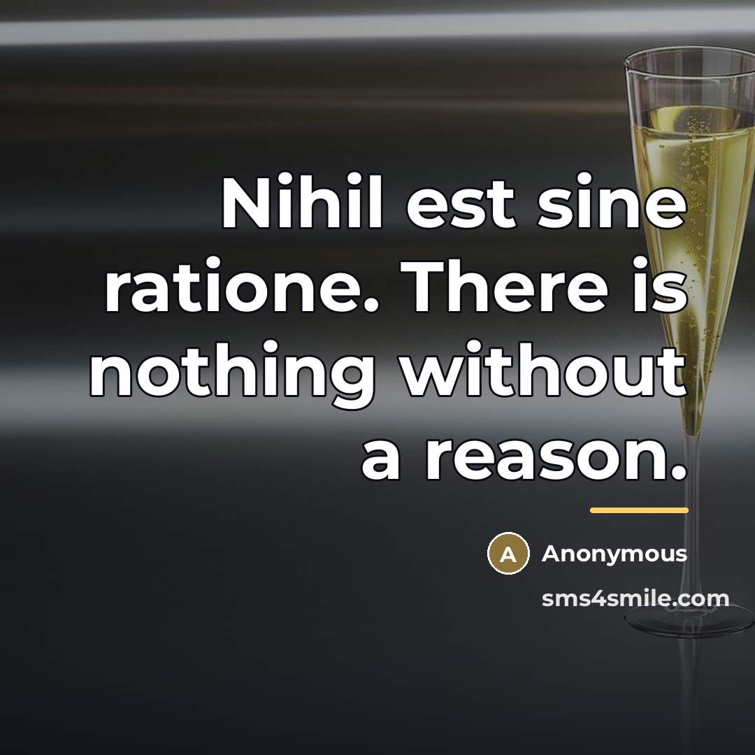 “Nihil est sine ratione. There is nothing without a reason.…” quote by Anonymous