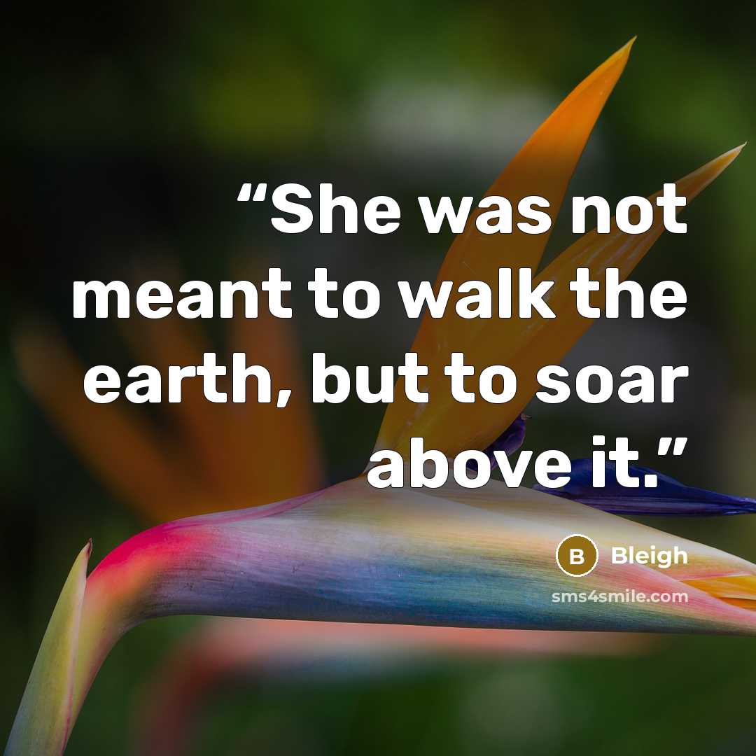 “She was not meant to walk the earth, but to soar above it.” quote by Bleigh