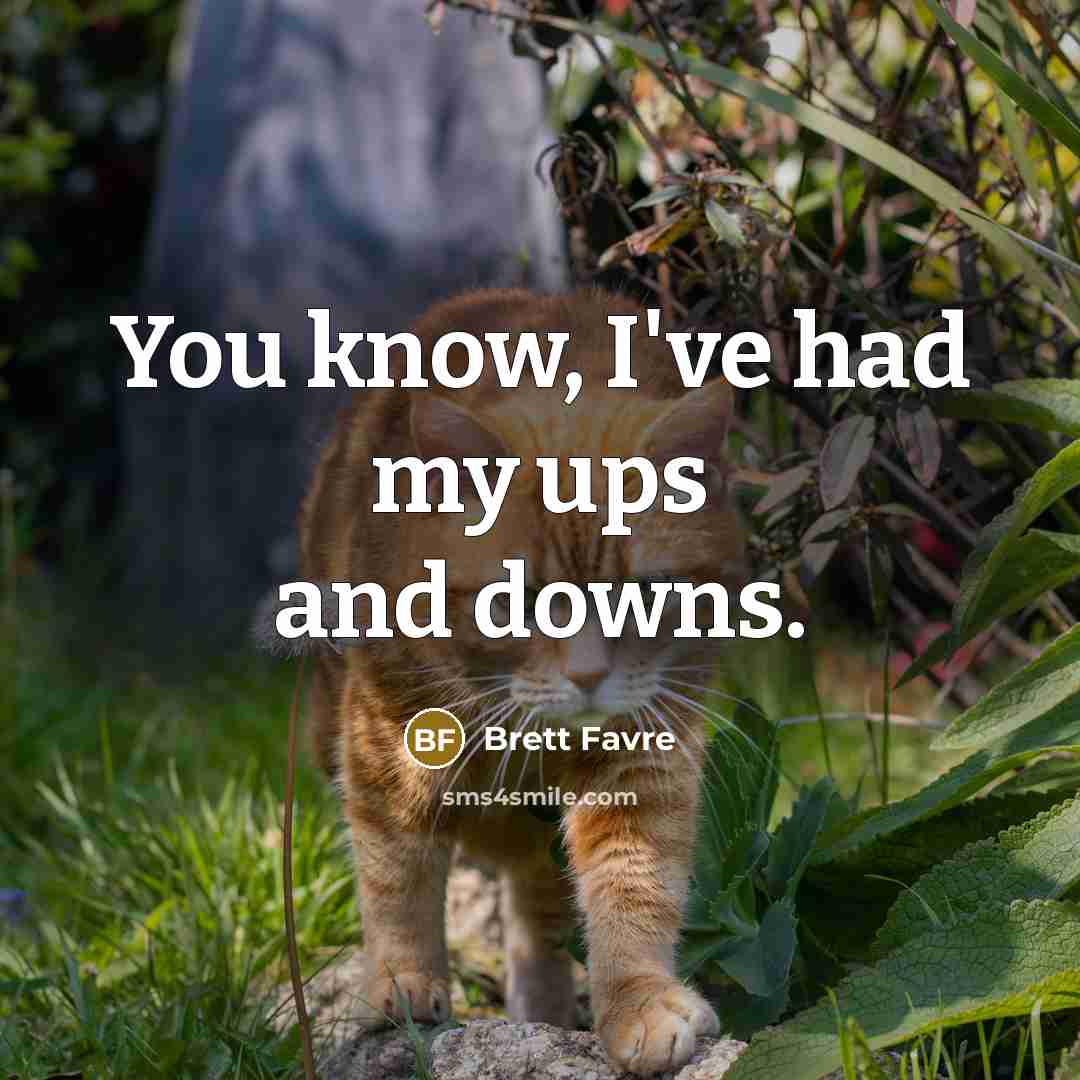 “You know, I've had my ups and downs.…” quote by Brett Favre