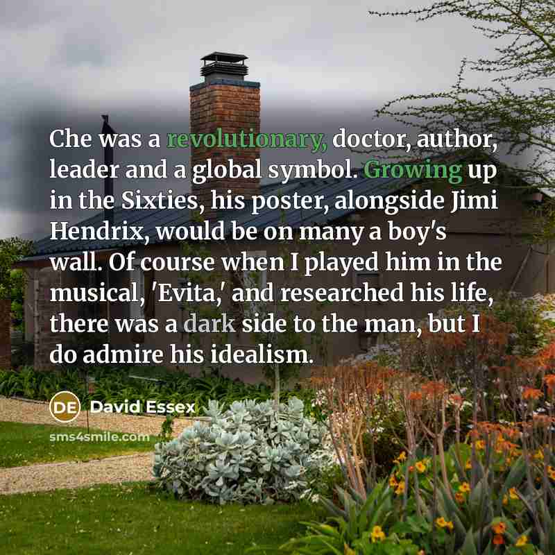 “Che was a revolutionary, doctor, author, leader and a global…” quote by David Essex