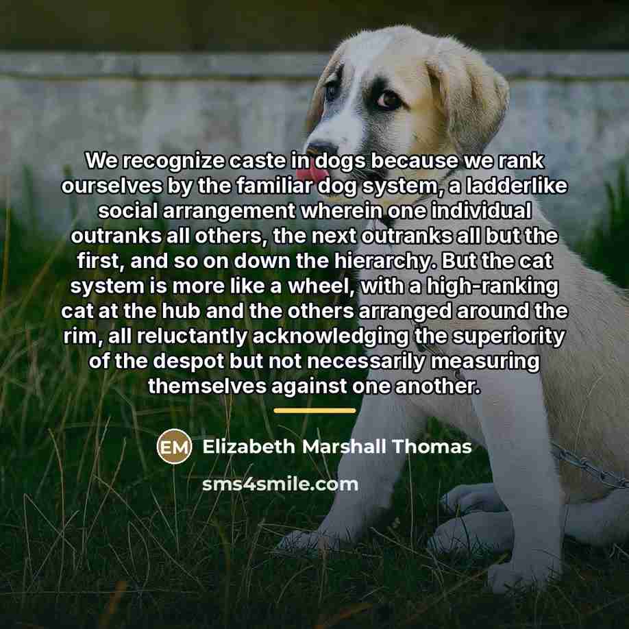 “We recognize caste in dogs because we rank ourselves by…” quote by Elizabeth Marshall Thomas
