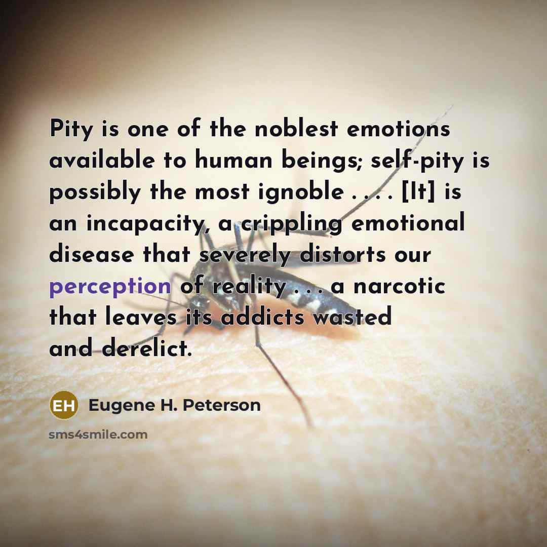 “Pity is one of the noblest emotions available to human…” quote by Eugene H. Peterson