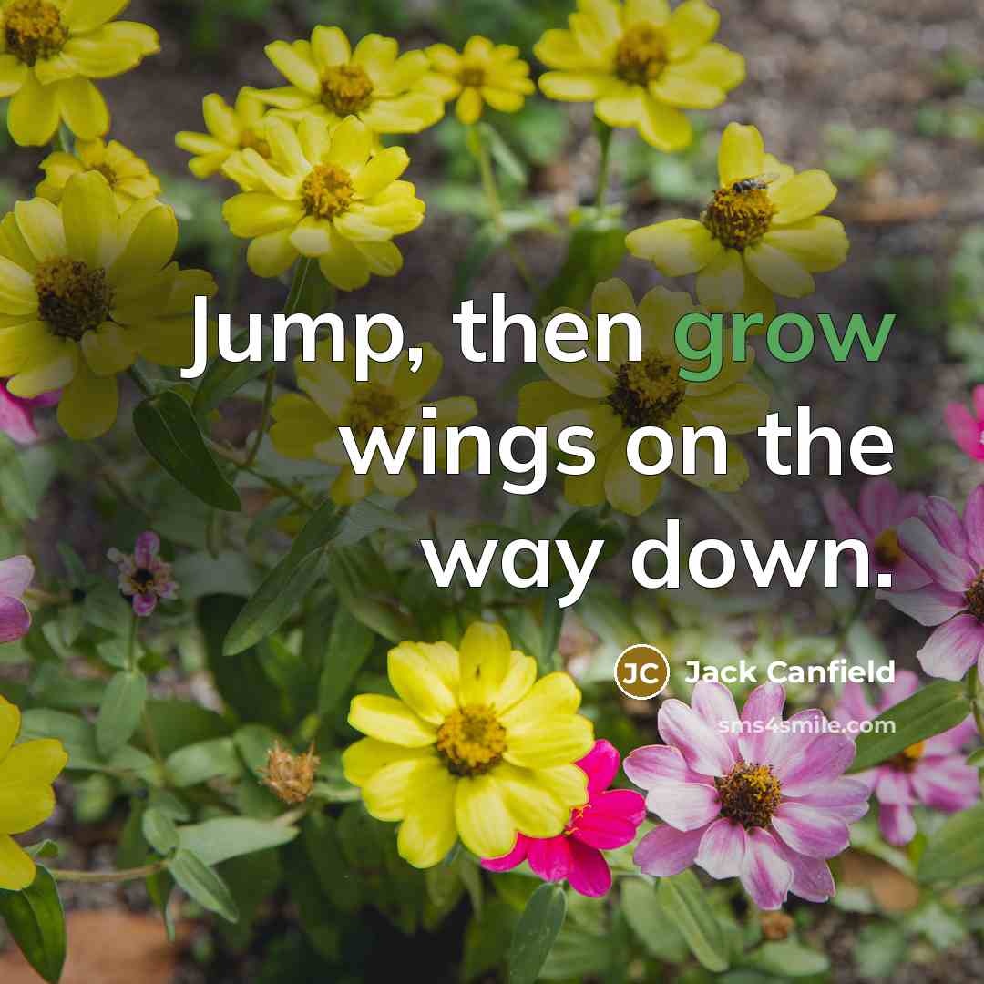 “Jump, then grow wings on the way down.…” quote by Jack Canfield