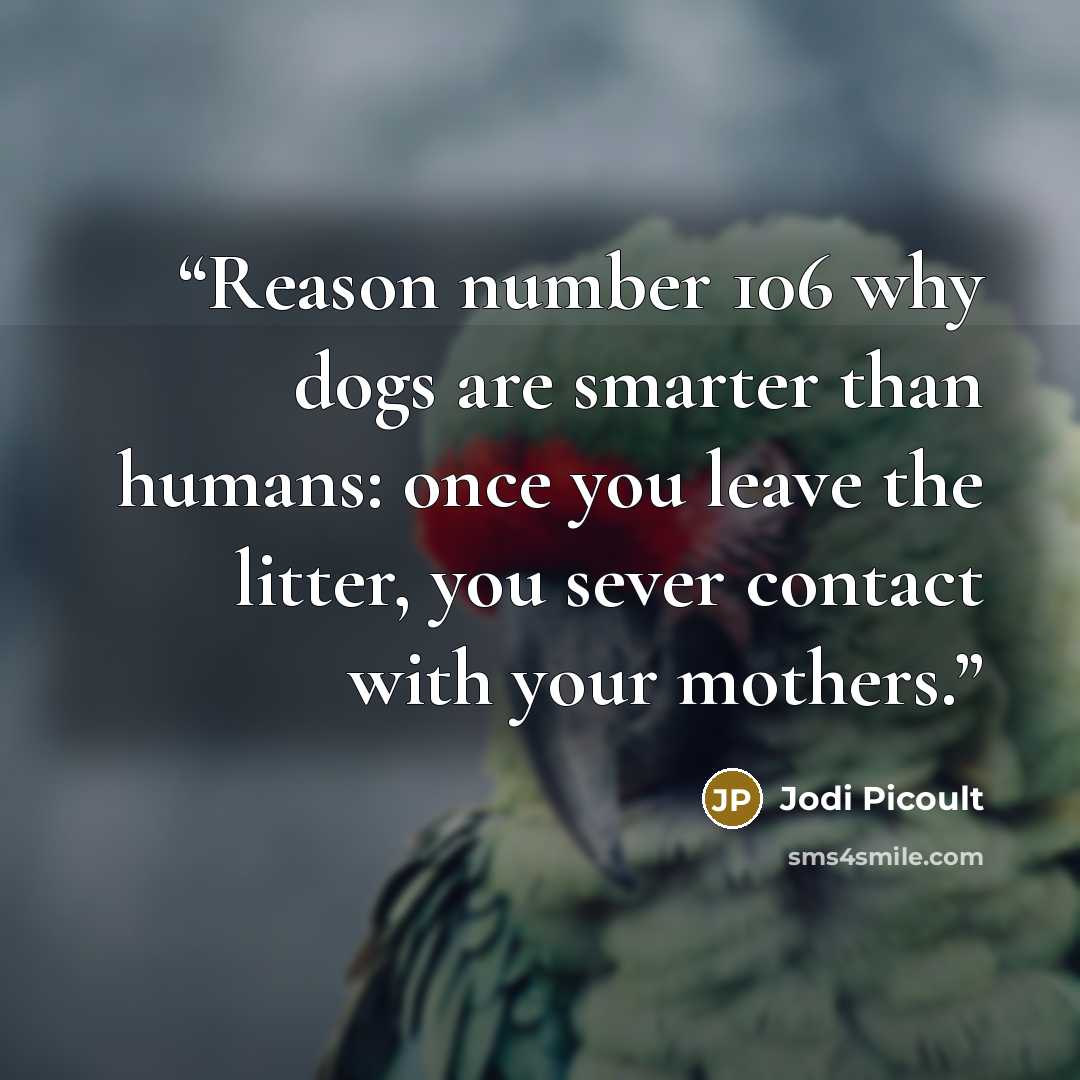 “Reason number 106 why dogs are smarter than humans: once you leave the litter, you sever contact with your mothers.” quote by Jodi Picoult