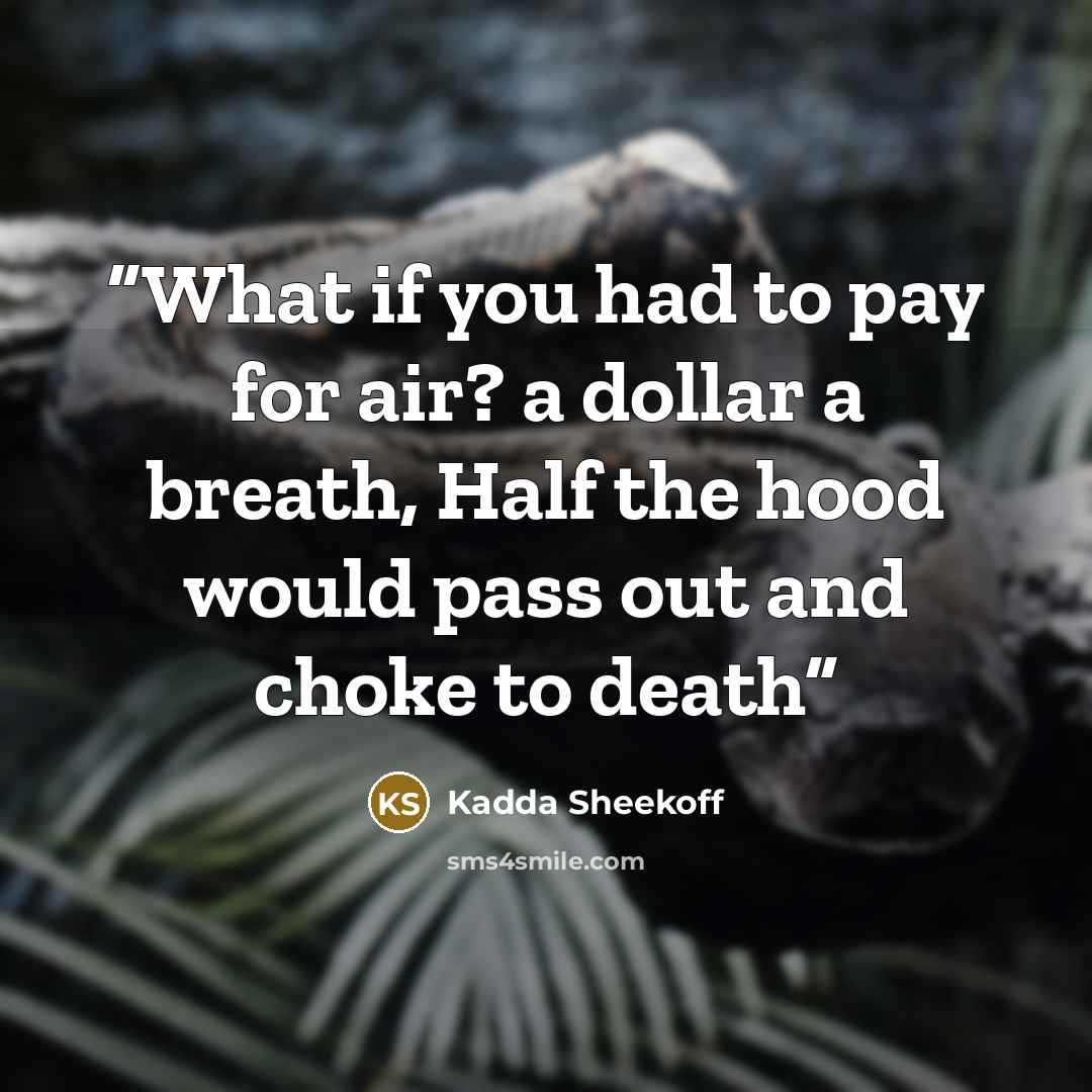 “What if you had to pay for air? a dollar a breath, Half the hood would pass out and choke to death” quote by Kadda Sheekoff
