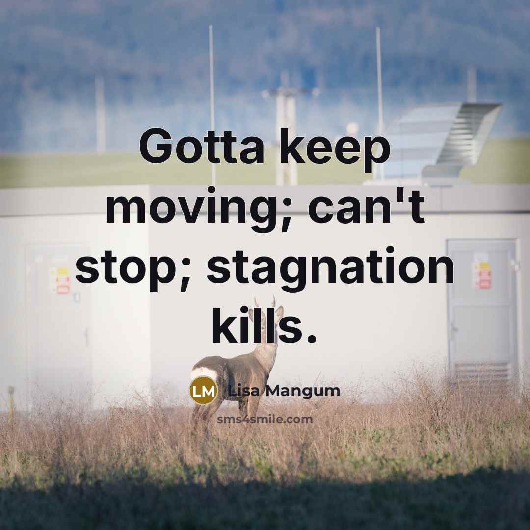 “Gotta keep moving; can't stop; stagnation kills.…” quote by Lisa Mangum