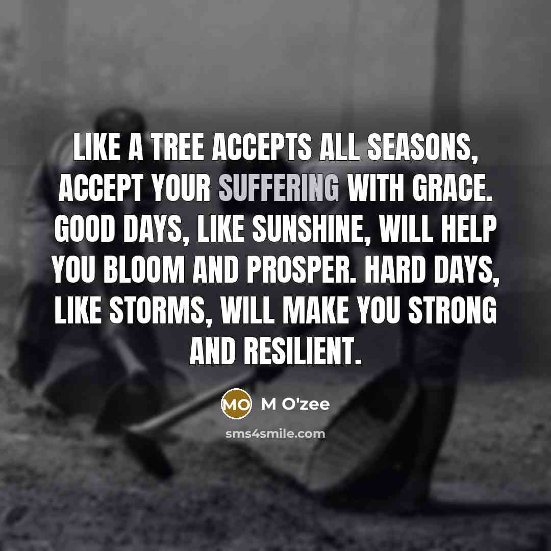 “Like a tree accepts all seasons, accept your suffering with grace. Good days, like sunshine, will help you bloom and prosper. Hard days, like storms, will make you strong and resilient.” quote by M O'zee