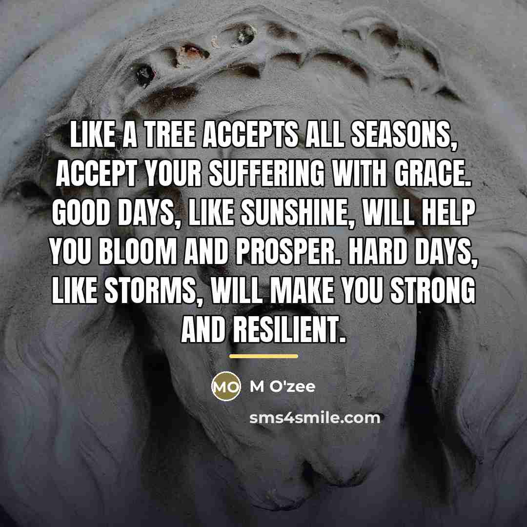 “Like a tree accepts all seasons, accept your suffering with…” quote by M O'zee
