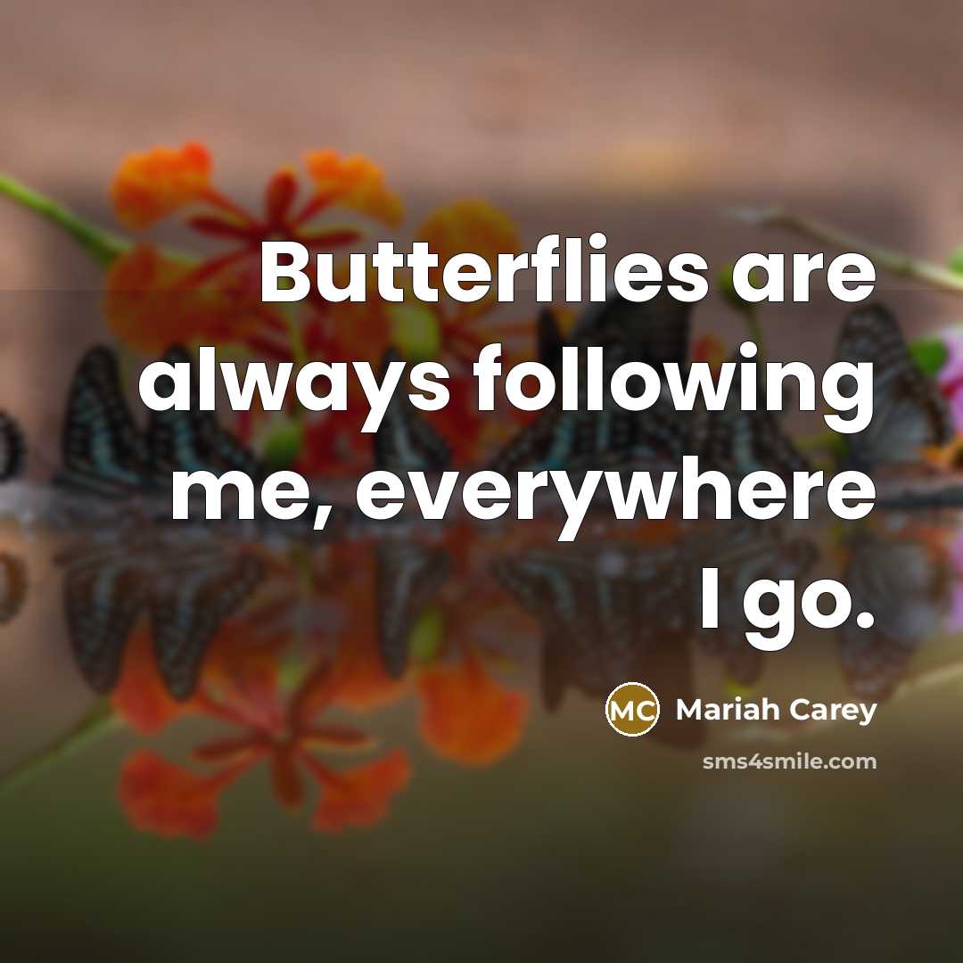 “Butterflies are always following me, everywhere I go.” quote by Mariah Carey