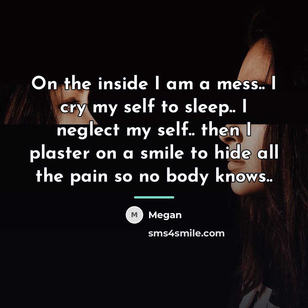 “On the inside I am a mess.. I cry my…” quote by Megan