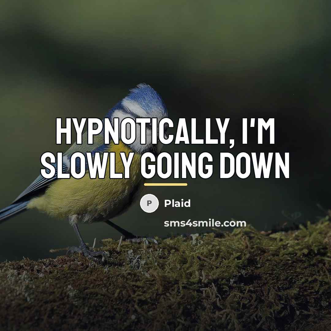 “Hypnotically, I'm slowly going down…” quote by Plaid