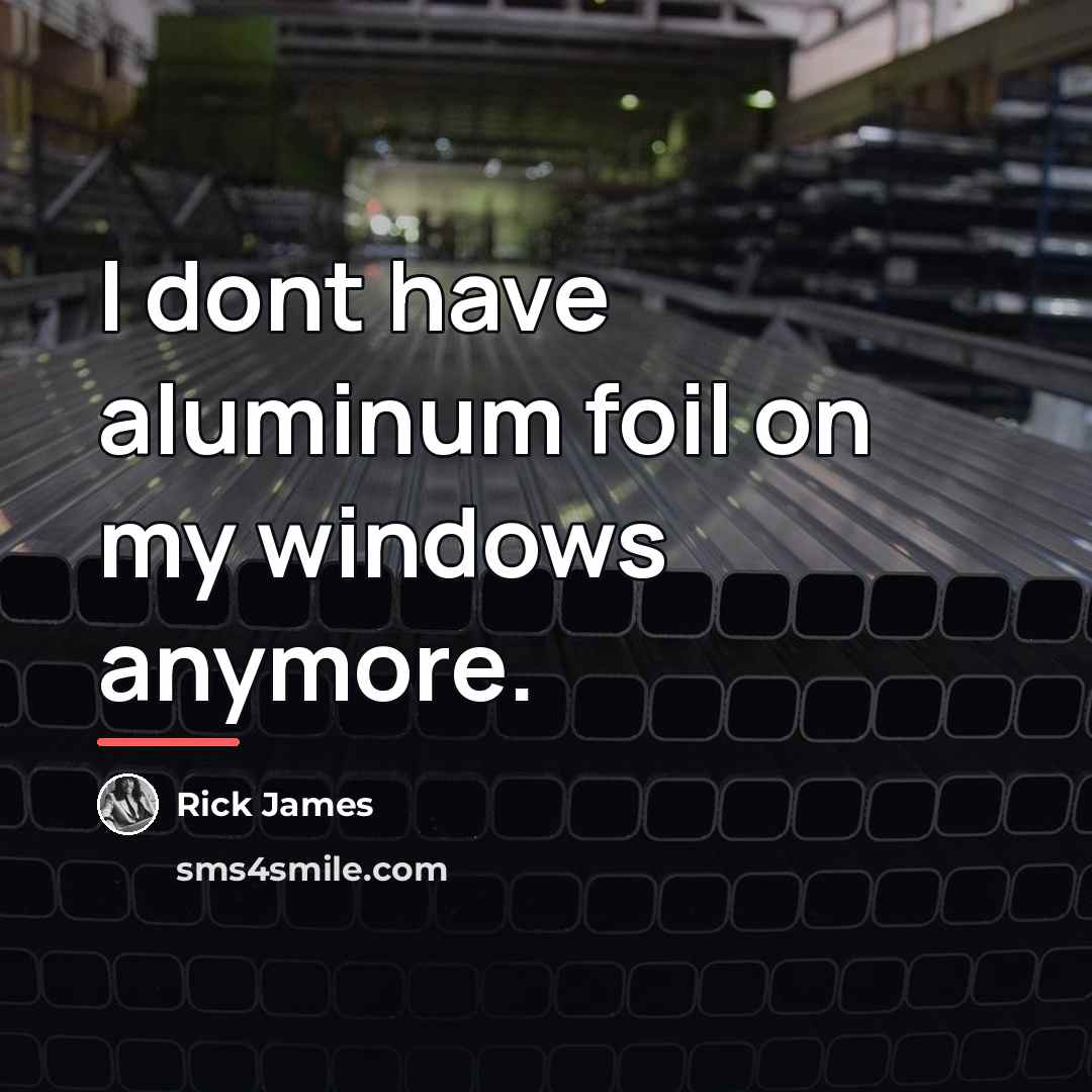 “I dont have aluminum foil on my windows anymore.…” quote by Rick James