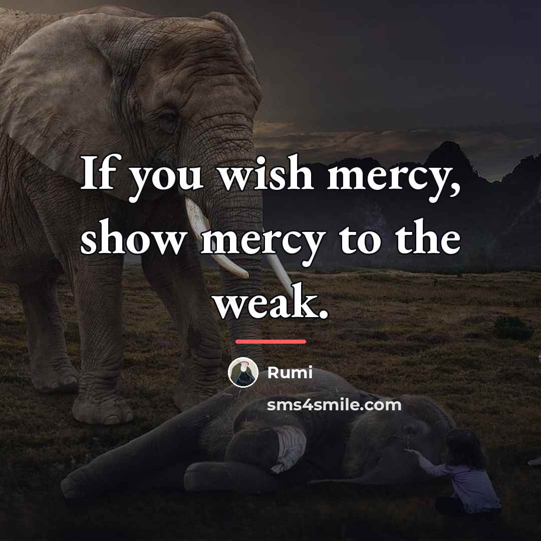 “If you wish mercy, show mercy to the weak.…” quote by Rumi