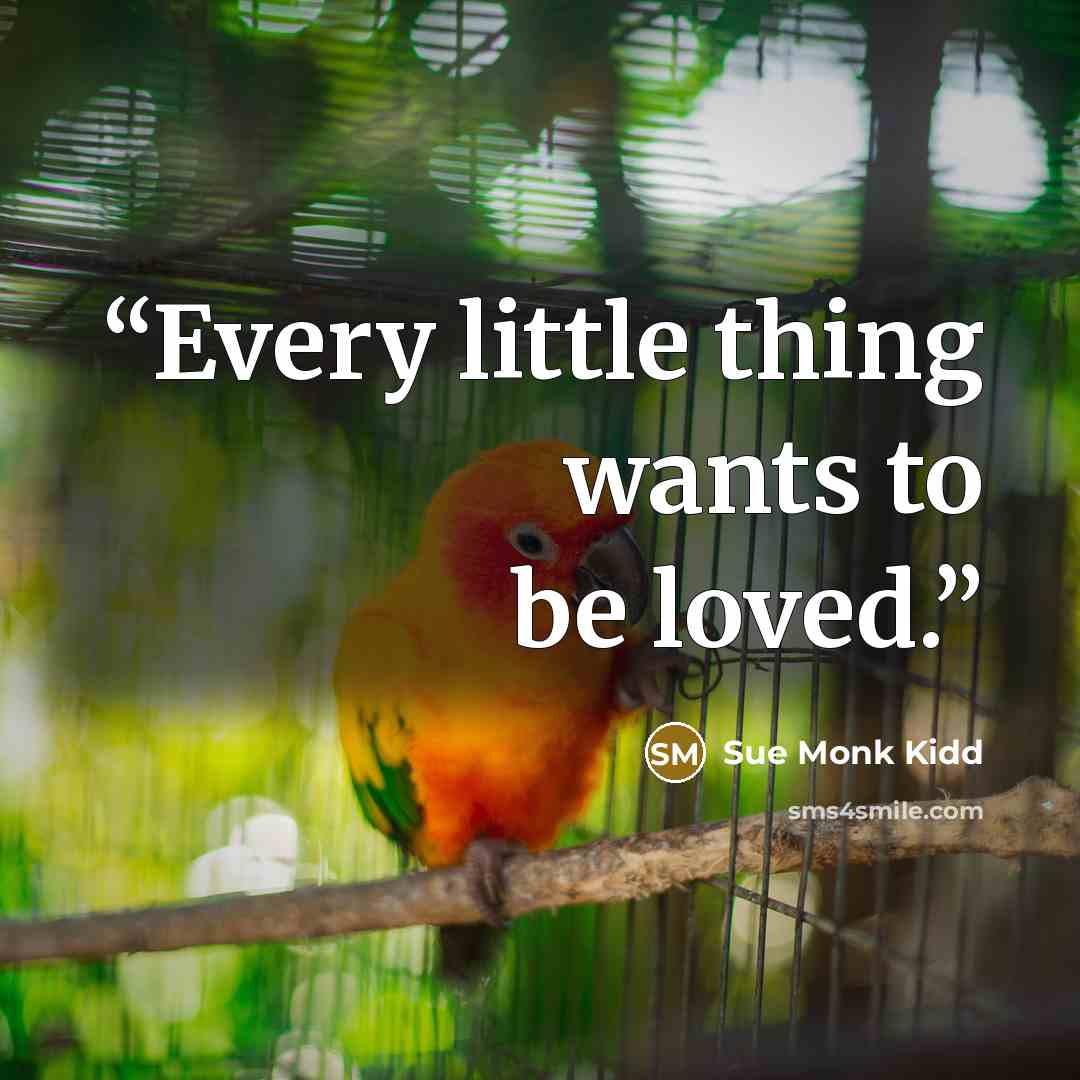 “Every little thing wants to be loved.” quote by Sue Monk Kidd