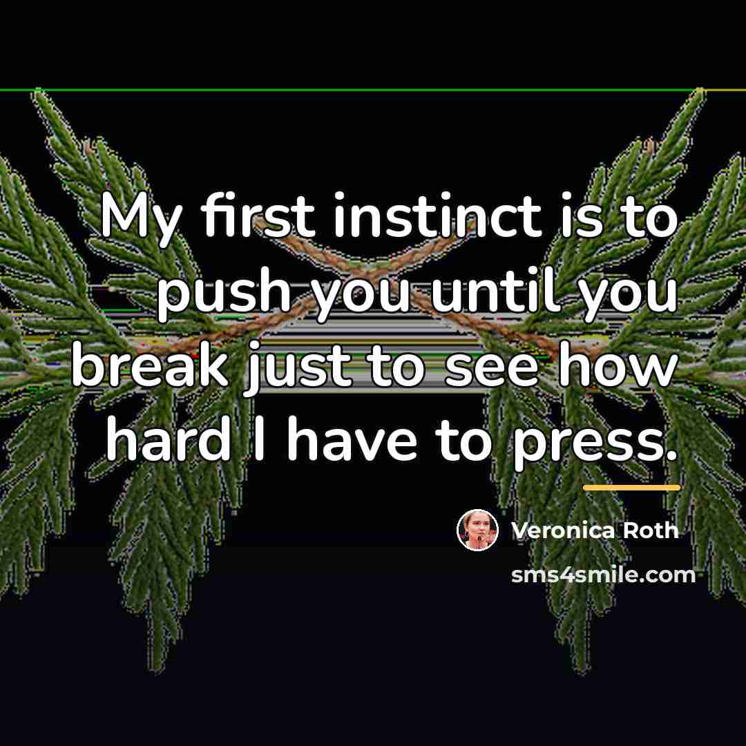 “My first instinct is to push you until you break…” quote by Veronica Roth