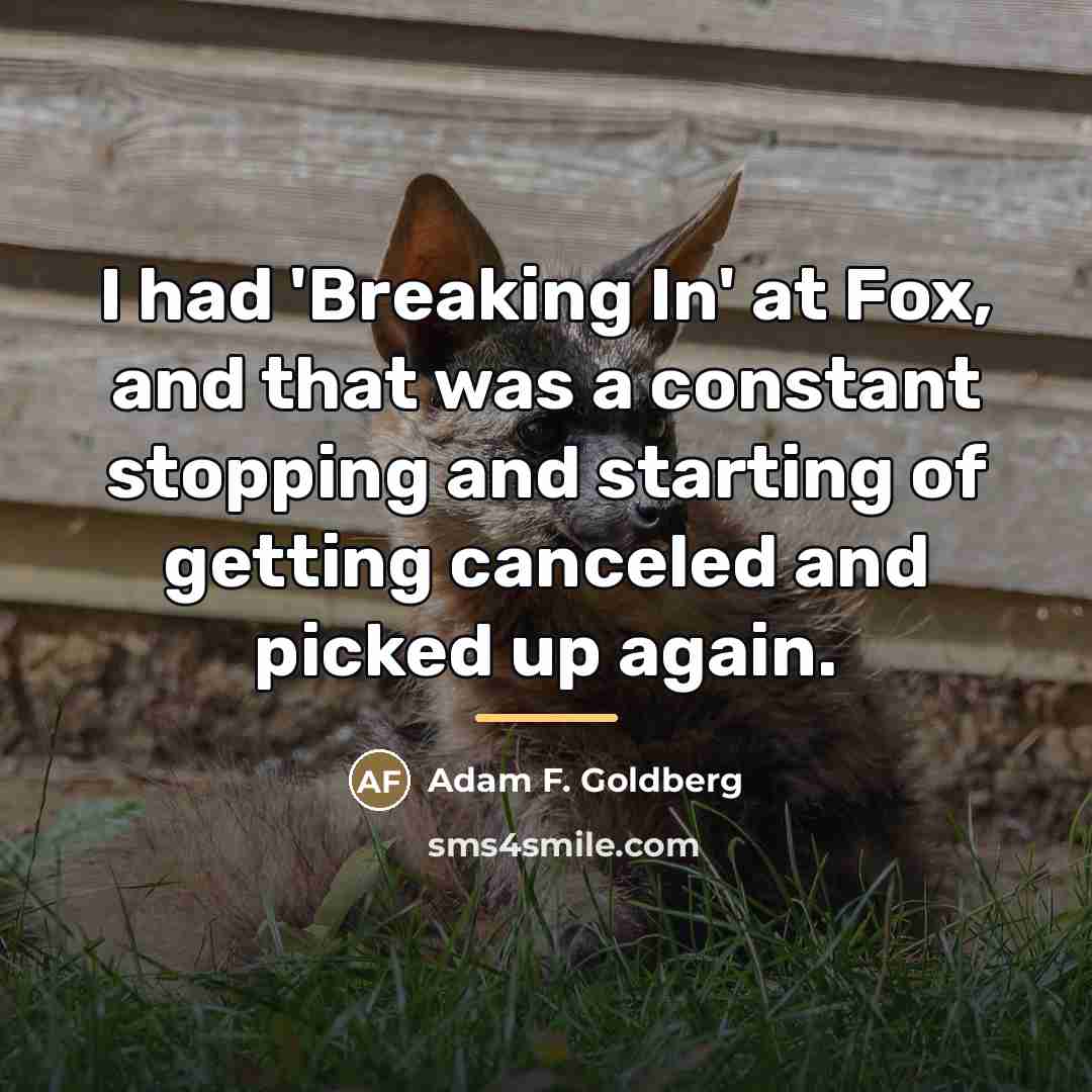 “I had 'Breaking In' at Fox, and that was a…” quote by Adam F. Goldberg