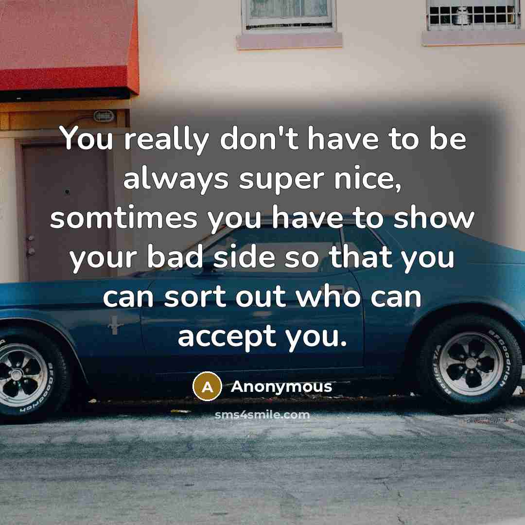 “You really don't have to be always super nice, somtimes you have to show your bad side so that you can sort out who can accept you.” quote by Anonymous