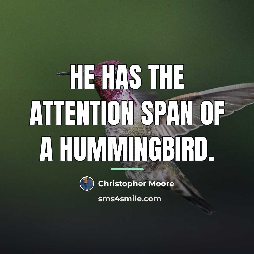 “He has the attention span of a hummingbird.…” quote by Christopher Moore
