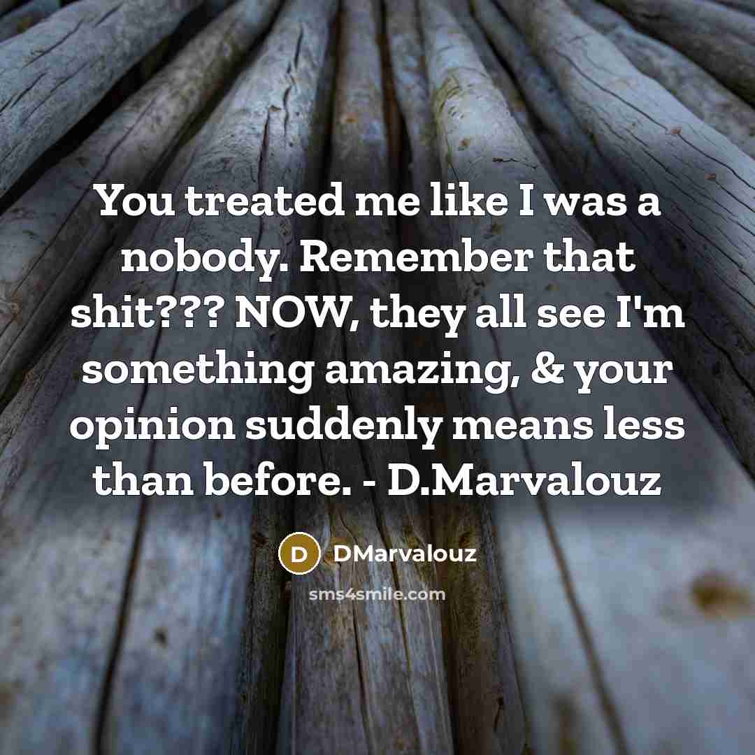 “You treated me like I was a nobody. Remember that…” quote by DMarvalouz