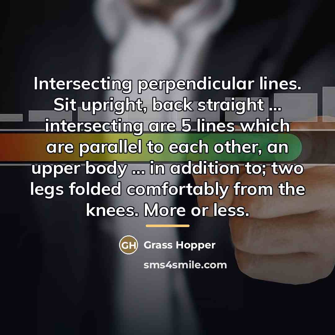 “Intersecting perpendicular lines. Sit upright, back straight ... intersecting are…” quote by Grass Hopper