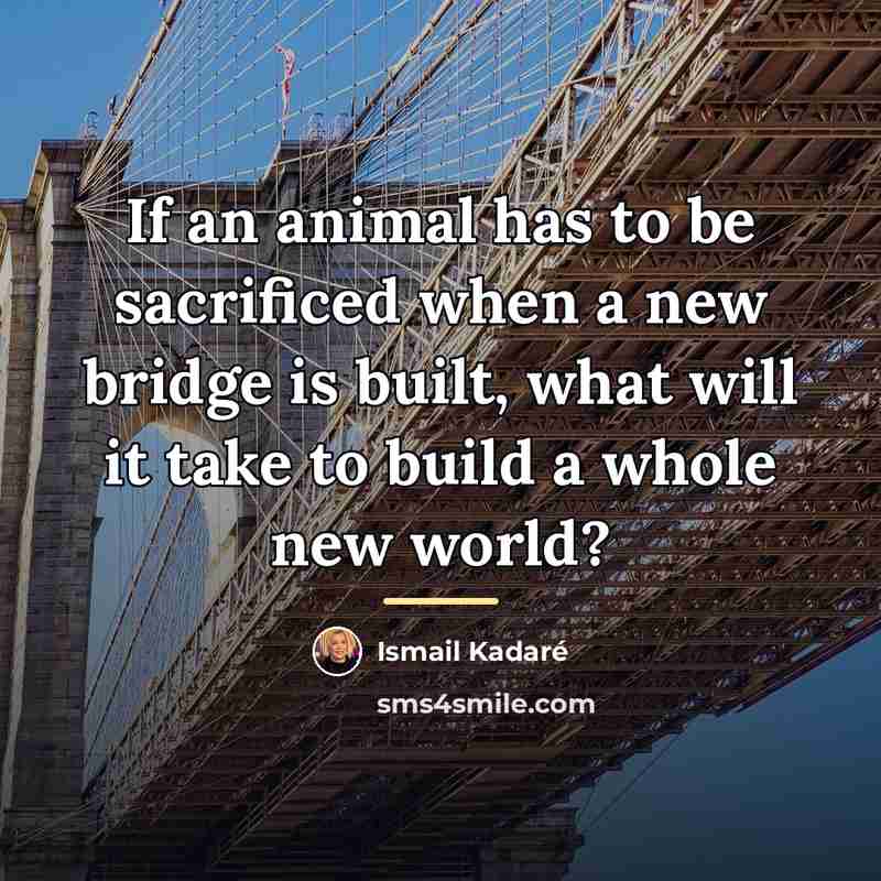 “If an animal has to be sacrificed when a new…” quote by Ismail Kadaré