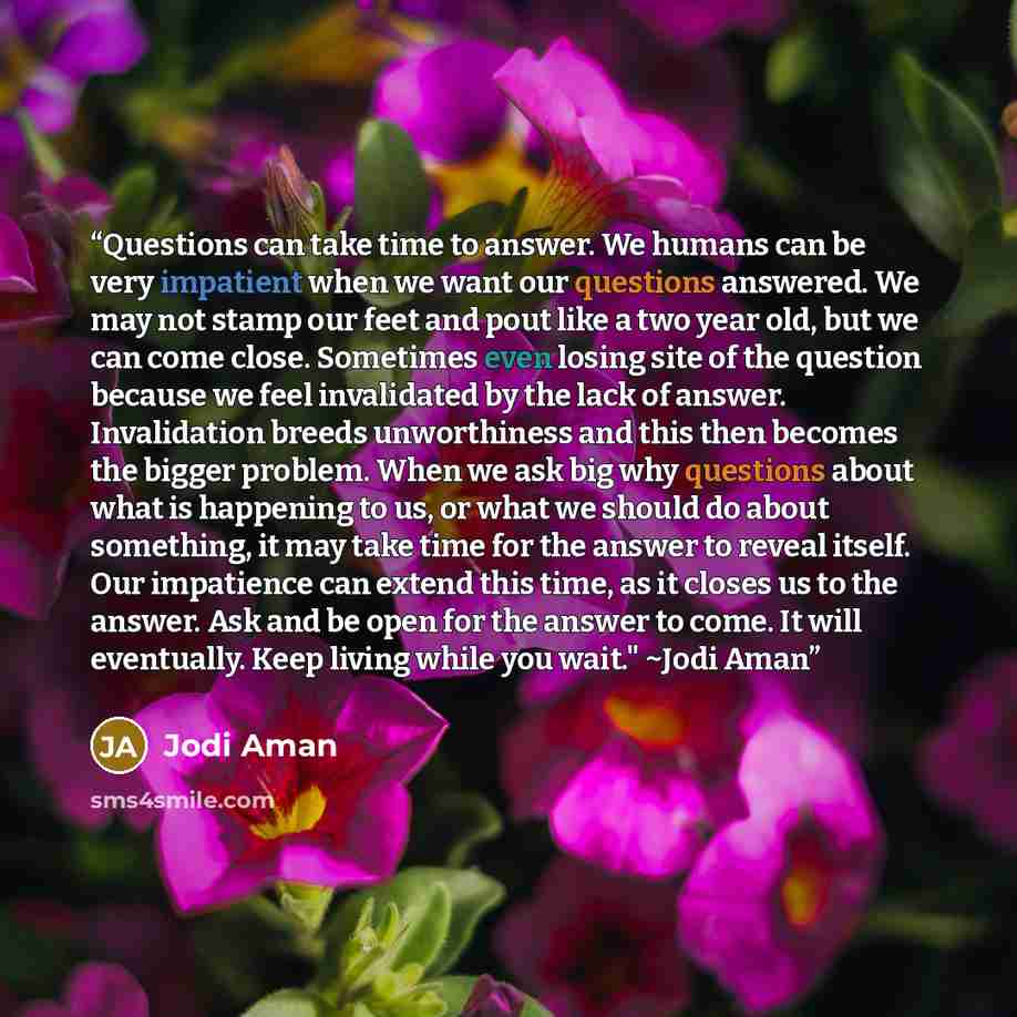 “Questions can take time to answer. We humans can be very impatient when we want our questions answered. We may not stamp our feet and pout like a two year old, but we can come close. Sometimes even losing site of the question because we feel invalidated by the lack of answer. Invalidation breeds…” quote by Jodi Aman