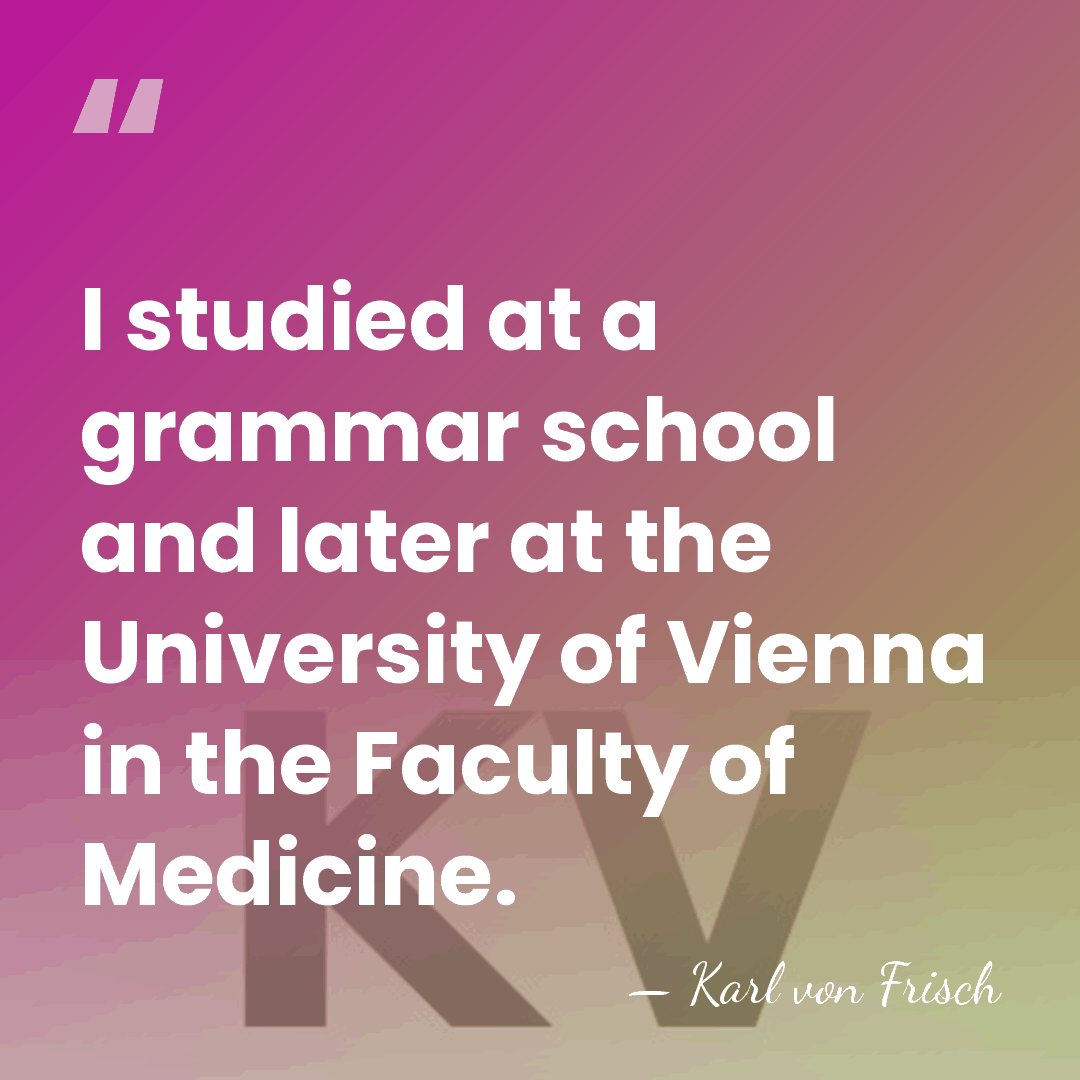 I studied at a grammar school and later at the University of&hellip; - Karl von Frisch