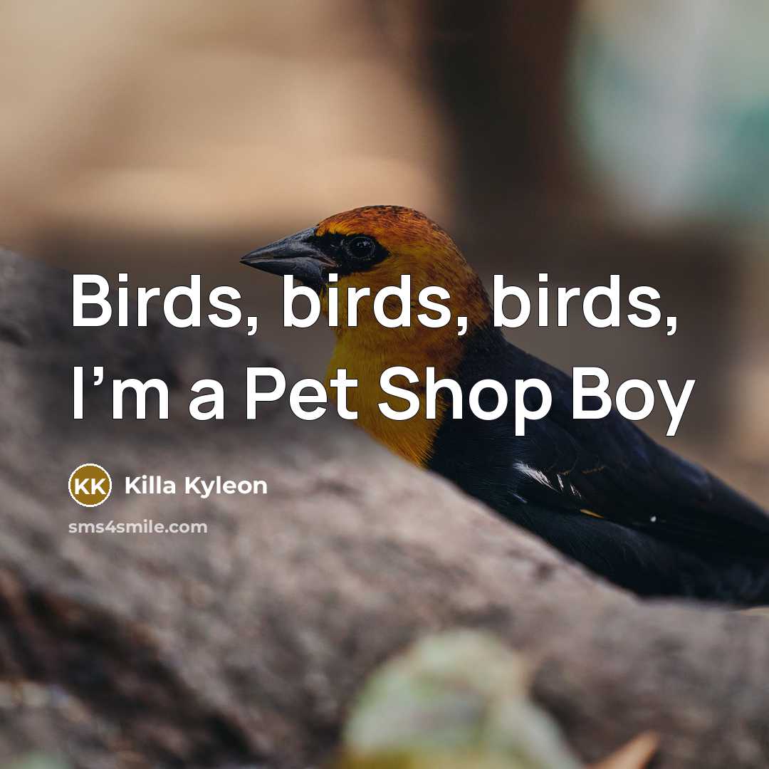“Birds, birds, birds, I'm a Pet Shop Boy…” quote by Killa Kyleon
