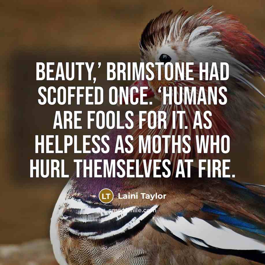 “Beauty,’ Brimstone had scoffed once. ‘Humans are fools for it.…” quote by Laini Taylor